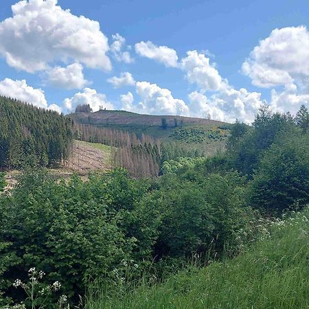 Holiday Apartment With Terrace In Winterberg Esterno foto
