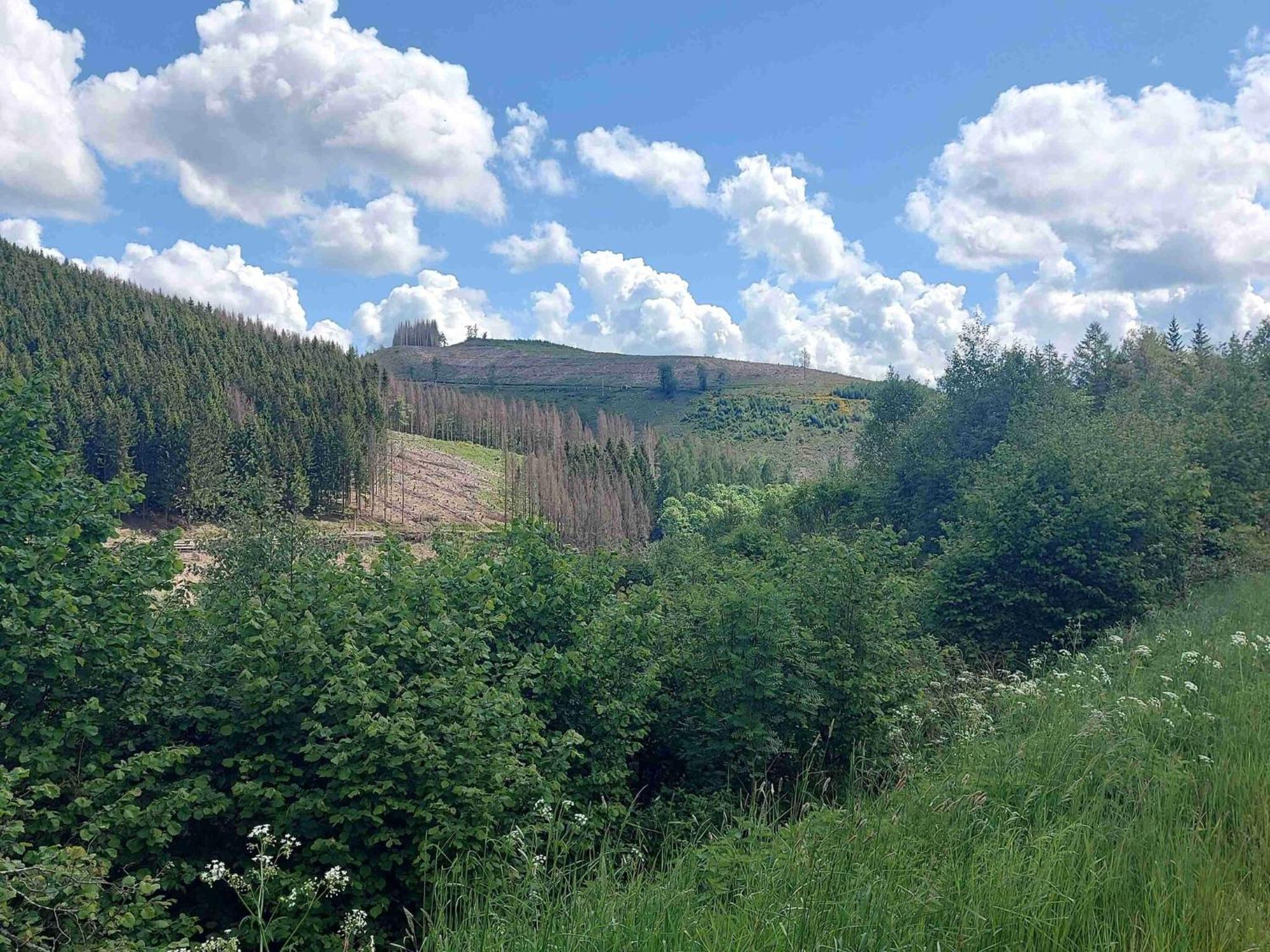 Holiday Apartment With Terrace In Winterberg Esterno foto