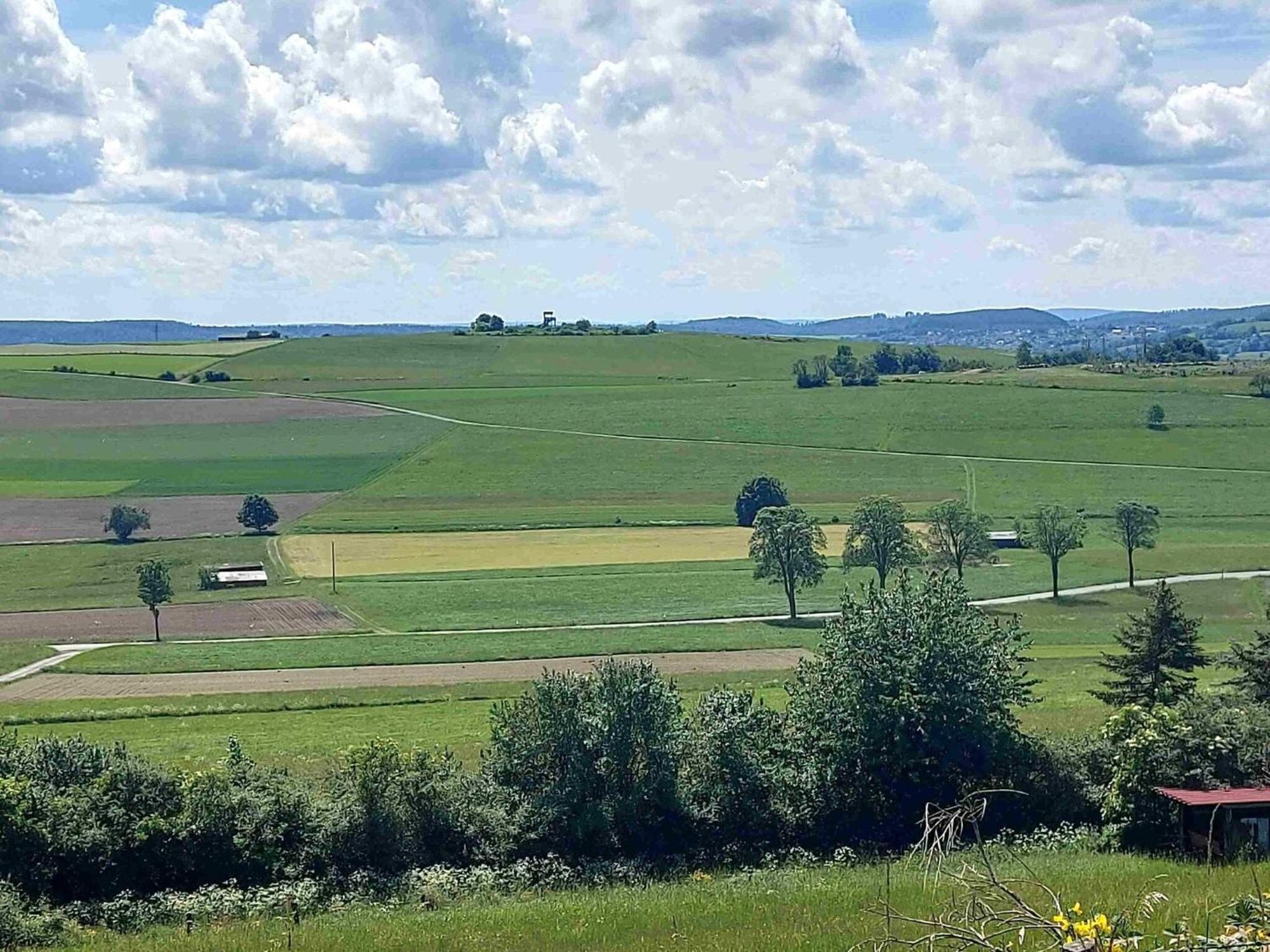 Holiday Apartment With Terrace In Winterberg Esterno foto