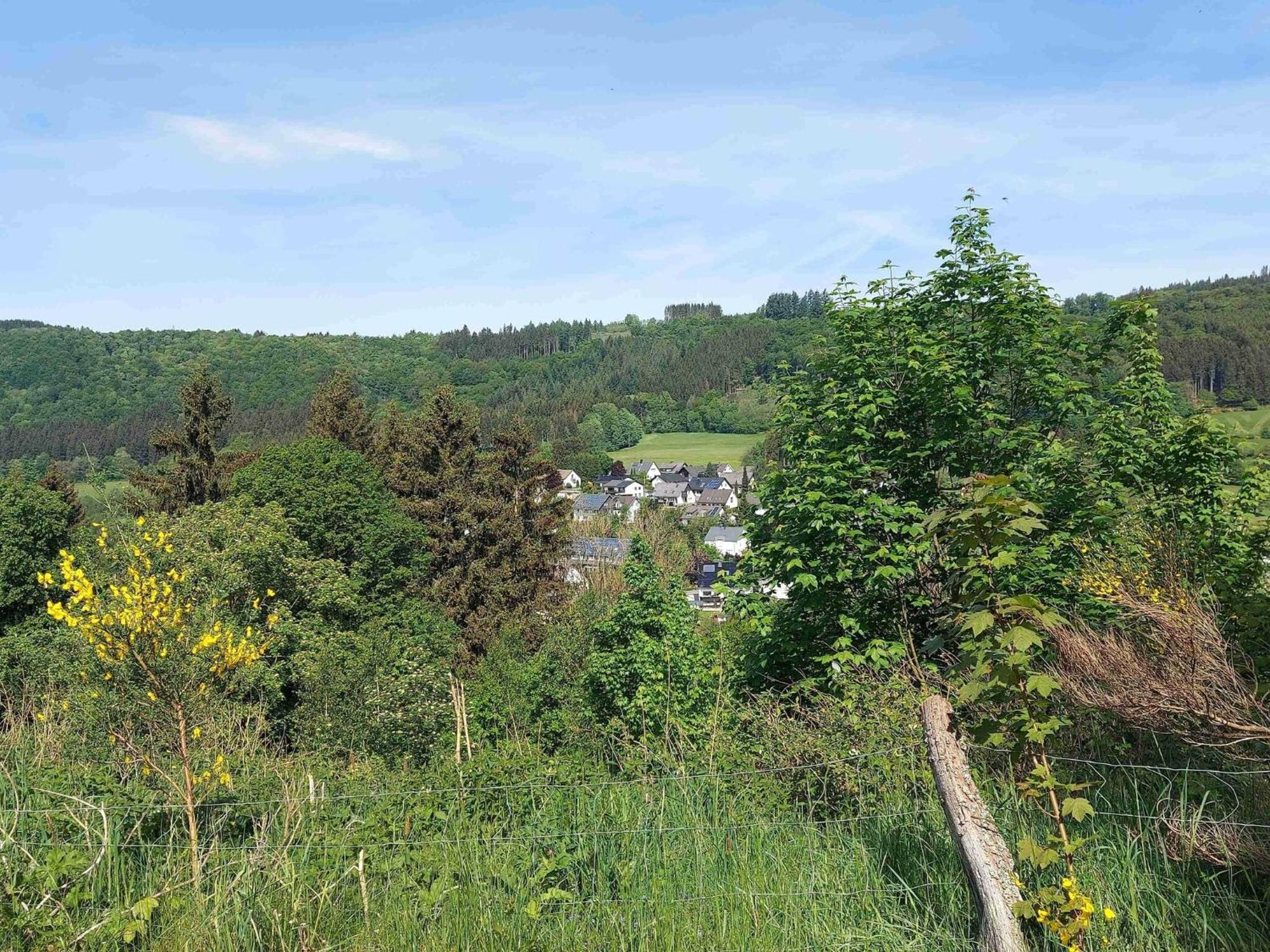 Holiday Apartment With Terrace In Winterberg Esterno foto